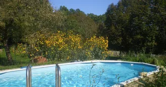 piscine piscine