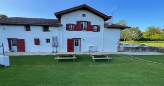 1000087183