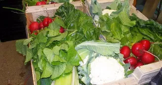 Ferme Coumet - Panier de légumes