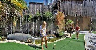 Jungle-Golf-2