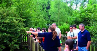 Visite du moulin