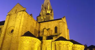 Collégiale Saint Martin_1 Collégiale Saint Martin_1