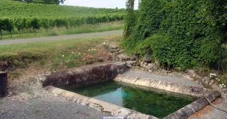 Lavoir des Mangons - Pineuilh - Patrice Coutaud Lavoir des Mangons - Pineuilh - Patrice Coutaud