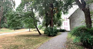 Parc Tissié - Pau - allée de promenade Parc Tissié - Pau - allée de promenade