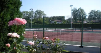 complexe sportif 1