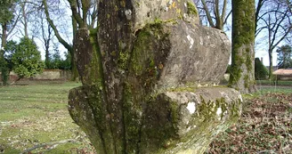 Parc-du-chateau---detail-Isabelle-Joachim-mairie-Coulonges-sur-l-Autize Parc-du-chateau---detail-Isabelle-Joachim-mairie-Coulonges-sur-l-Autize