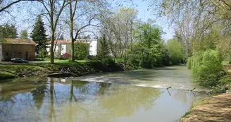 Le Luy Amou Le Luy Amou
