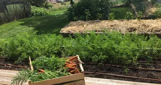 Légumes Légumes