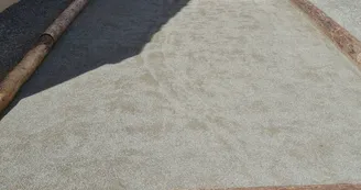 20240405_170906 20240405_170906