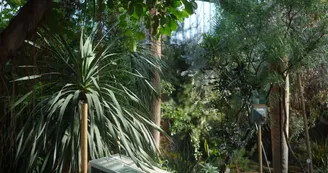 Jardin-botanique, les serres Jardin-botanique, les serres