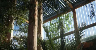 Jardin-botanique, les serres Jardin-botanique, les serres
