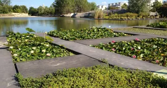 Jardin-botanique Jardin-botanique