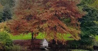 Arboretum de la Sédelle_5 Arboretum de la Sédelle_5