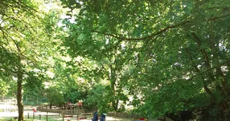 20200528_164745