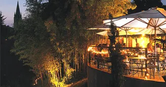 cafe-marliacea-nocturne cafe-marliacea-nocturne