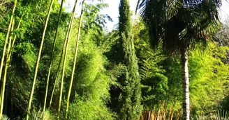1-Jardin-de-PLANBUISSON 1-Jardin-de-PLANBUISSON