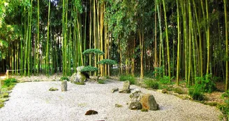 5-Jardin-de-PLANBUISSON 5-Jardin-de-PLANBUISSON