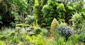 6--Jardin-de-PLANBUISSON 6--Jardin-de-PLANBUISSON
