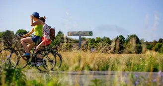 velo-route-panneau et velos agence-les-conteurs velo-route-panneau et velos agence-les-conteurs