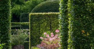 charmille jardinieres pheretaxus 7 charmille jardinieres pheretaxus 7