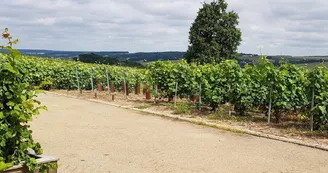 Aire de service Champagne Champion - Bergères-sous-Montmirail