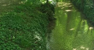 canal de la fontaine Saint-Martin à Echenilly© Ville de Saint André les Verg.jpg