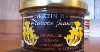 Les-Champignons-12-1.jpg Les-Champignons-12-1.jpg