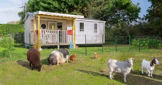 saint-lo-d'ourvil-camping-les-carolins-dessoliers-5 saint-lo-d'ourvil-camping-les-carolins-dessoliers-5