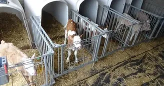 Ferme de Gazenas Flavin Ferme de Gazenas Flavin