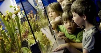 MICROPOLIS LA CITÉ DES INSECTES (groupes)