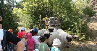 Parc le theil (Le Caylar)