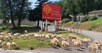 Lycée agricole La Cazotte