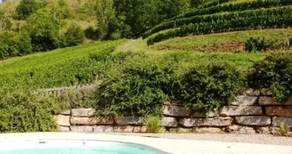 Chalet - La Frégière Chalet - La Frégière