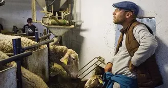 Ferme d'Alcas - visite / exposition - dégustation