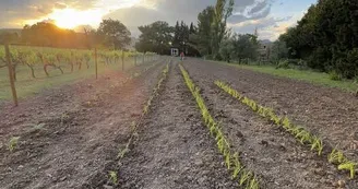 jardin2 jardin2