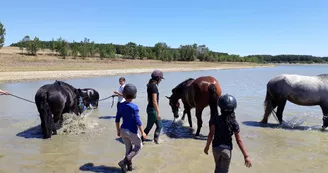 Equitec - Balade