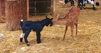 LA FERME DU PARADIS