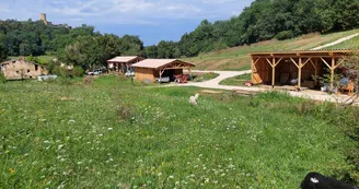 Ferme Plumoc Aurignac - oeufs (6) Ferme Plumoc Aurignac - oeufs (6)