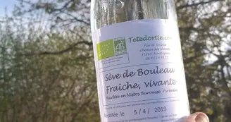 Seve de bouleau; Tête d'ortie; Montrejeau Seve de bouleau; Tête d'ortie; Montrejeau