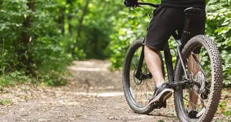 VTT en forêt