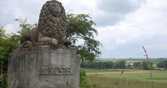 Lion de Sugny