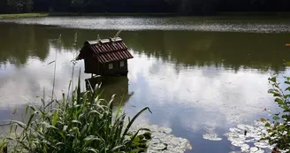 Chambres d'hôtes dans un ancien moulin, étang de 75 ares, pêche - Lonny - Ardennes