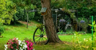 Chambres d'hôtes dans un ancien moulin, étang de 75 ares, pêche - Lonny - Ardennes