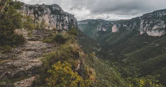 POILAR048V509QDF_09