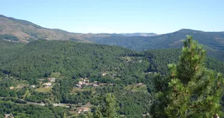 Au loin le village de vacances niché dans la forêt