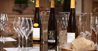 Domaine Jean-Baptiste Adam Domaine Jean-Baptiste Adam