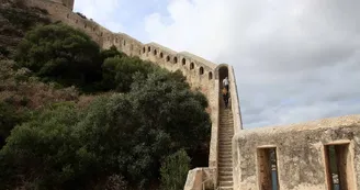 Bonifacio