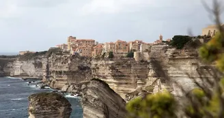 Bonifacio