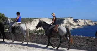 Bonifacio-