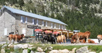 aubergecarlit5